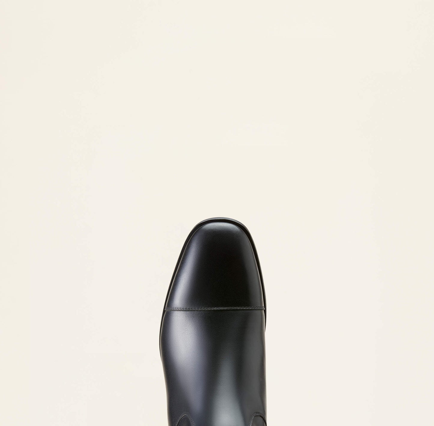 Ariat Ravello Dress Tall Riding Boot Outlet