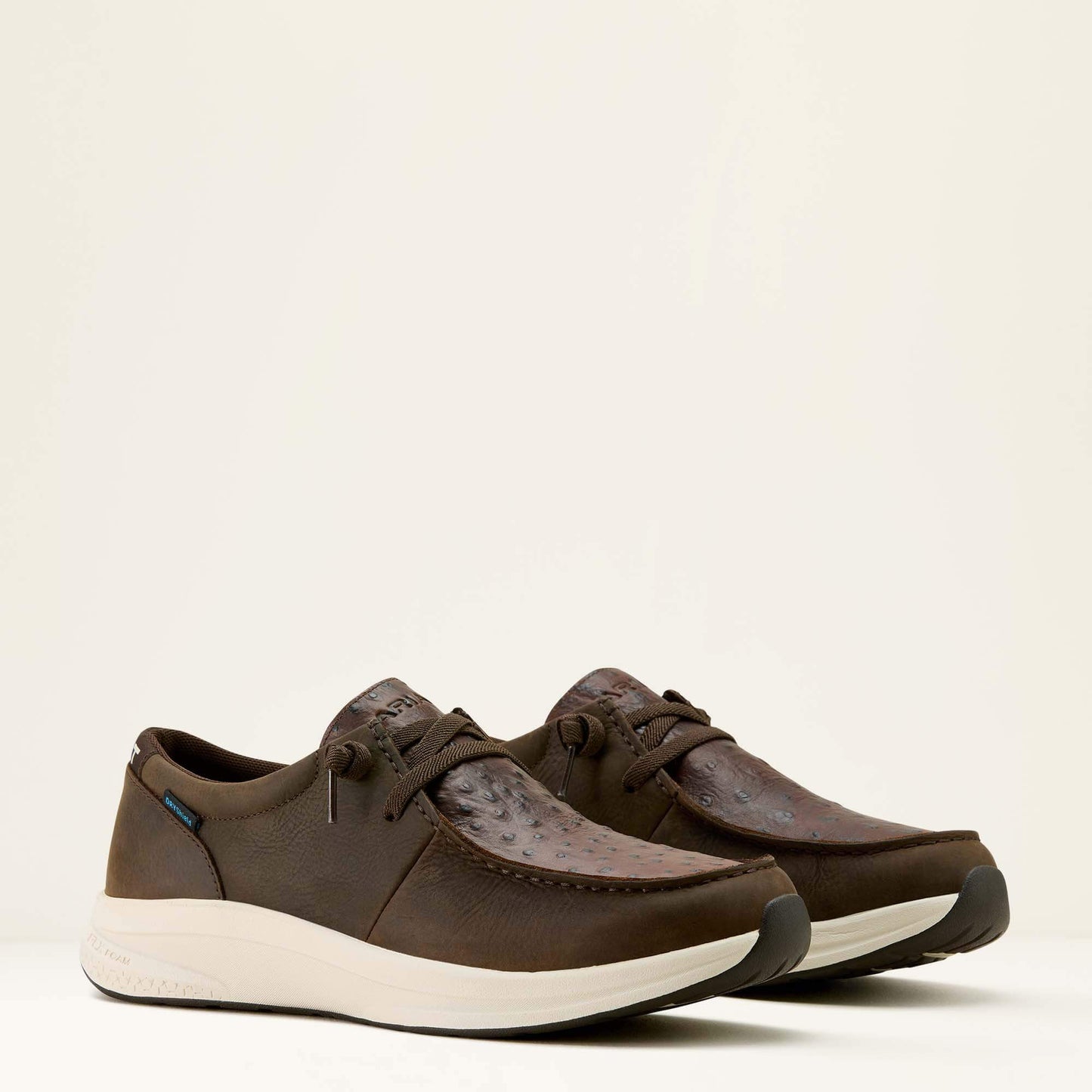 Ariat Buckeye Waterproof Shoe For Sale
