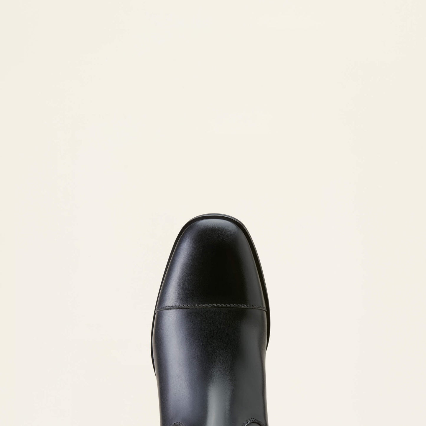 Ariat Ravello Dress Tall Riding Boot Online