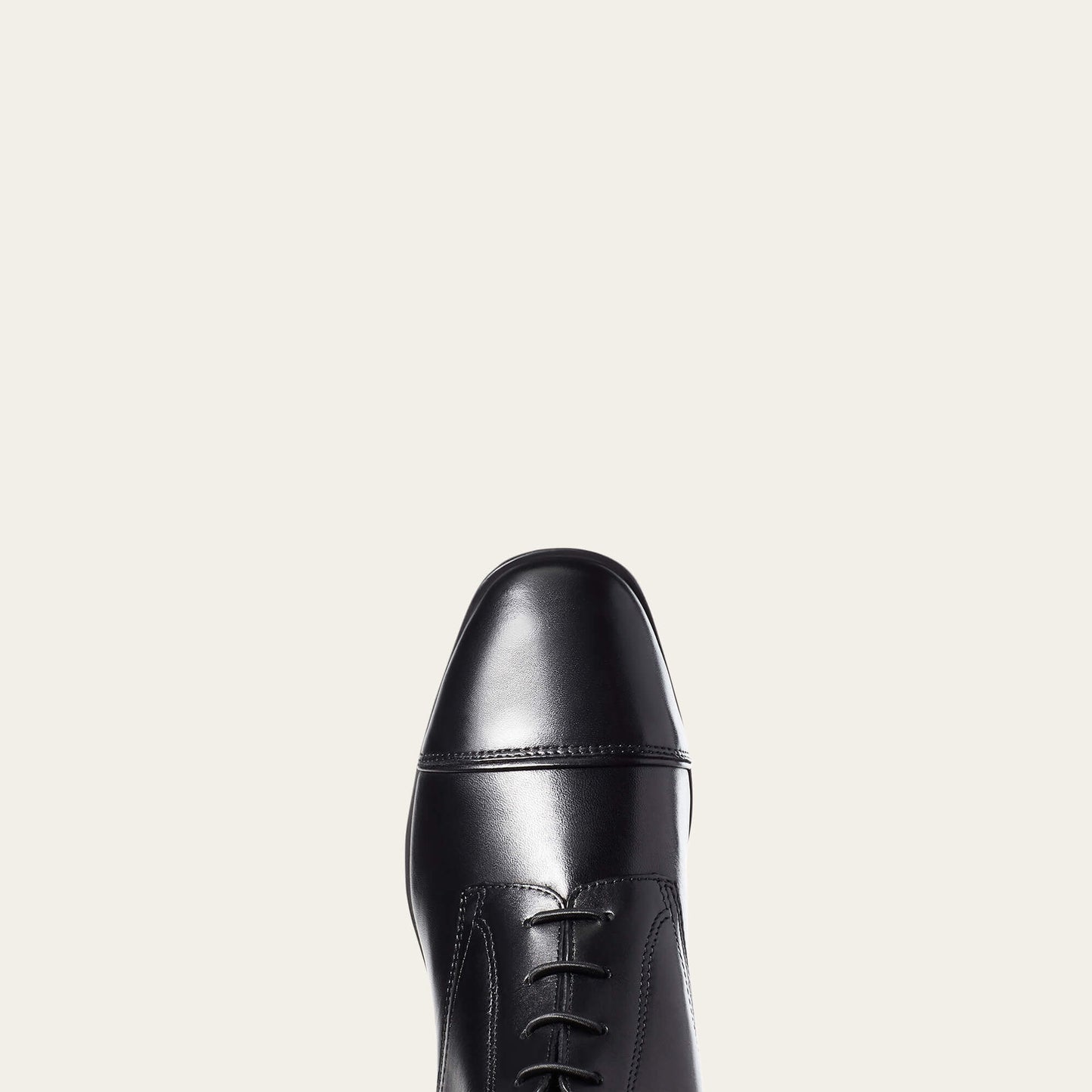 Ariat Palisade Tall Riding Boot Discount