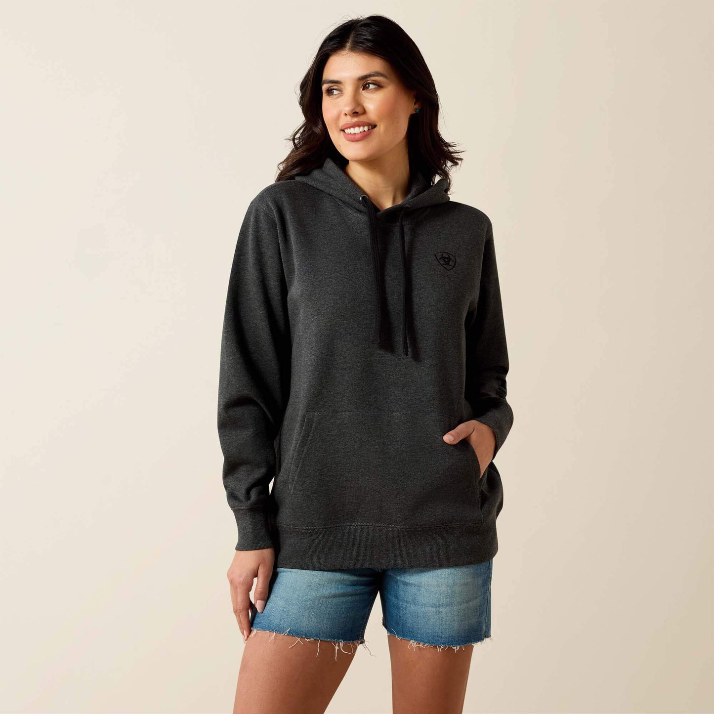 Ariat Ariat Logo 2.0 Hoodie Online
