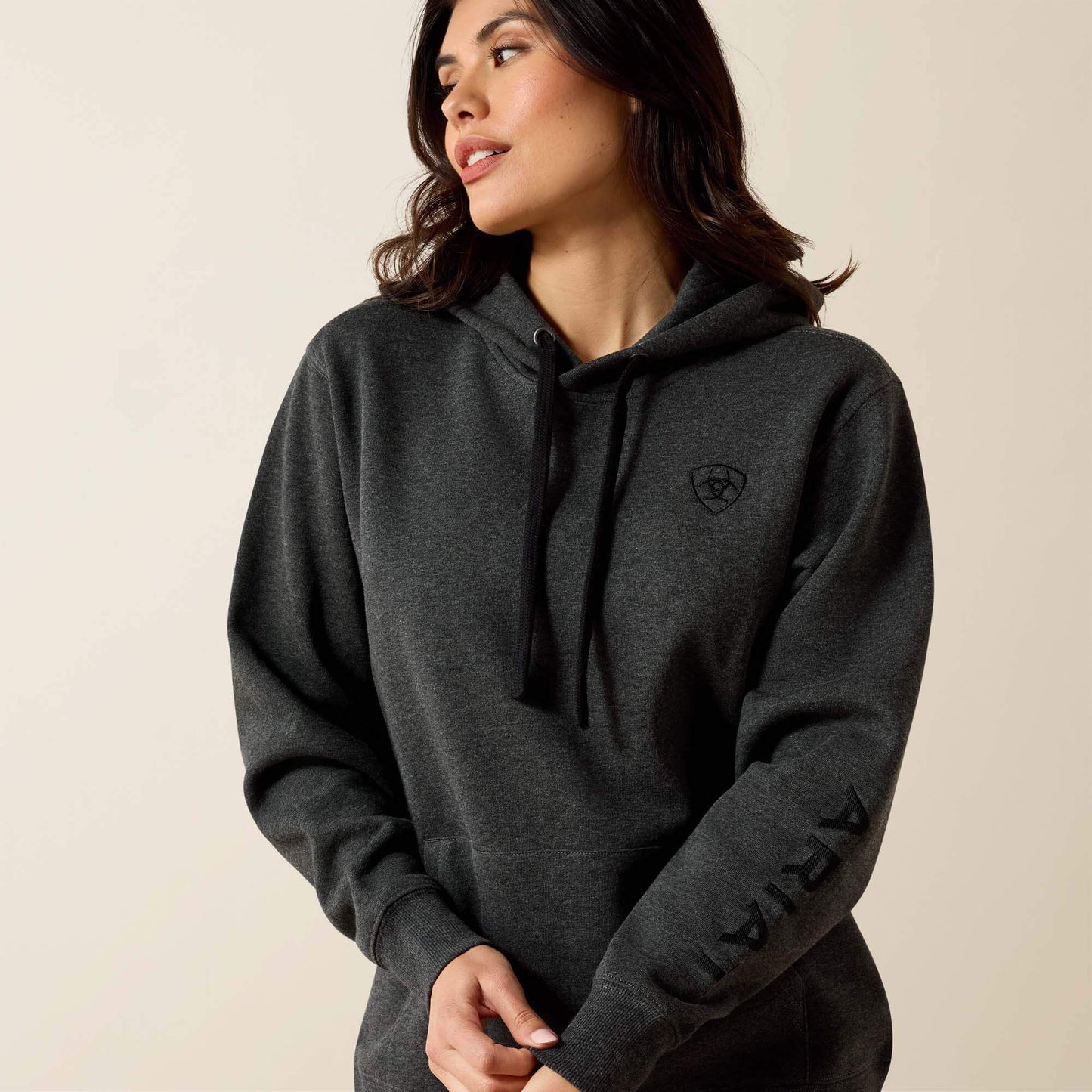 Ariat Ariat Logo 2.0 Hoodie Online