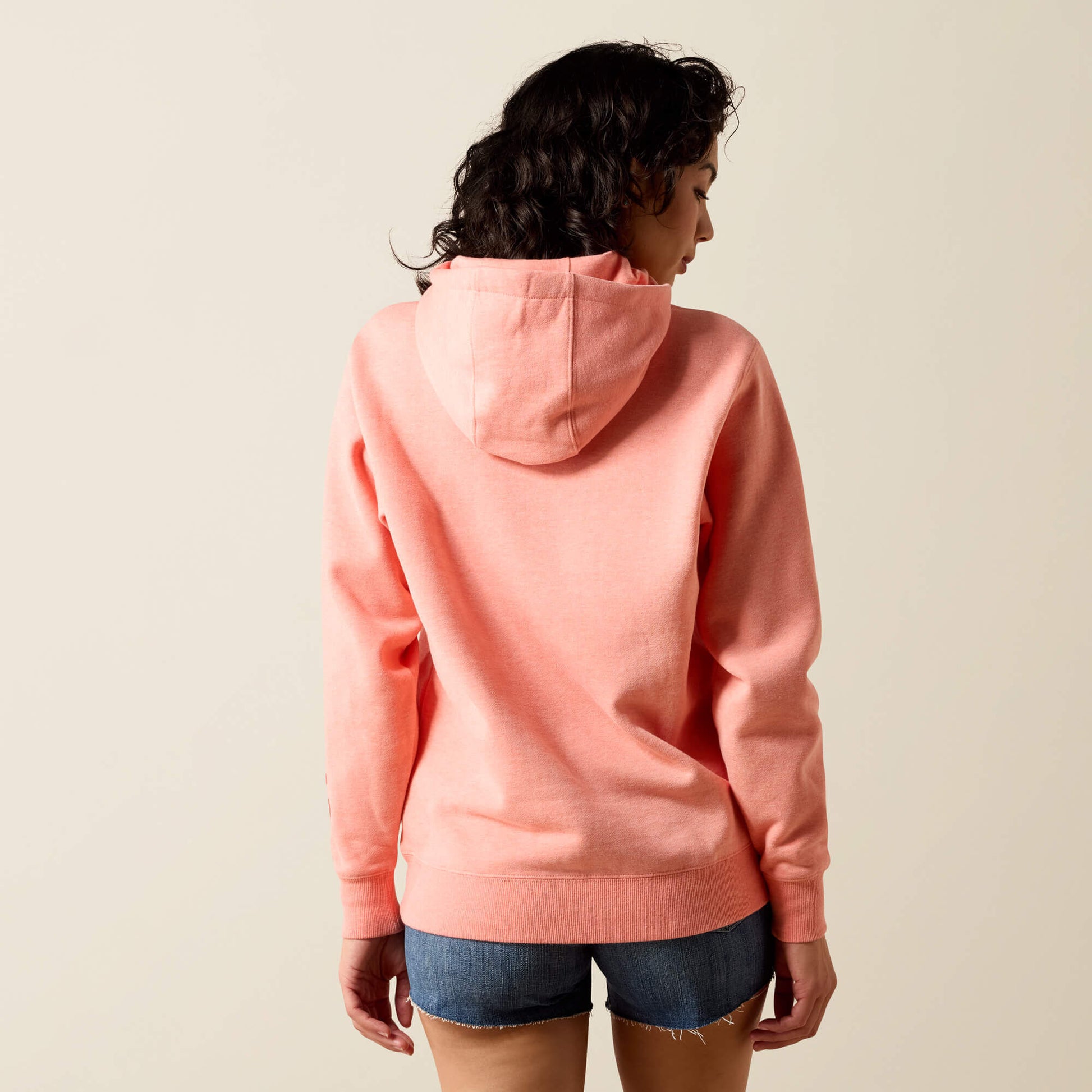 Ariat Ariat Logo 2.0 Hoodie Sale