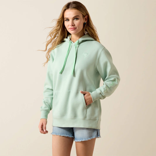 Ariat Ariat Logo 2.0 Hoodie On Sale