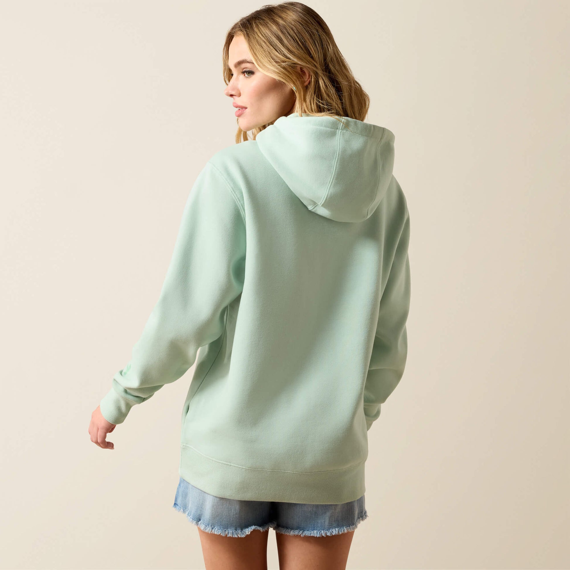 Ariat Ariat Logo 2.0 Hoodie On Sale