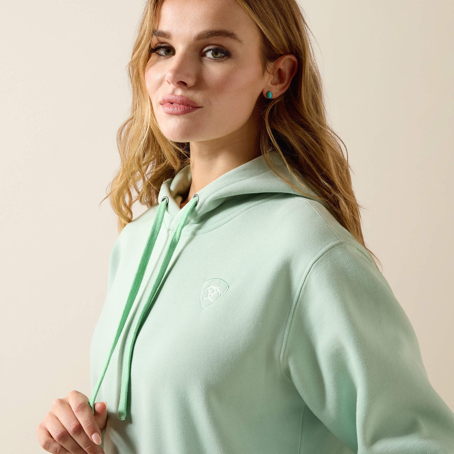 Ariat Ariat Logo 2.0 Hoodie On Sale