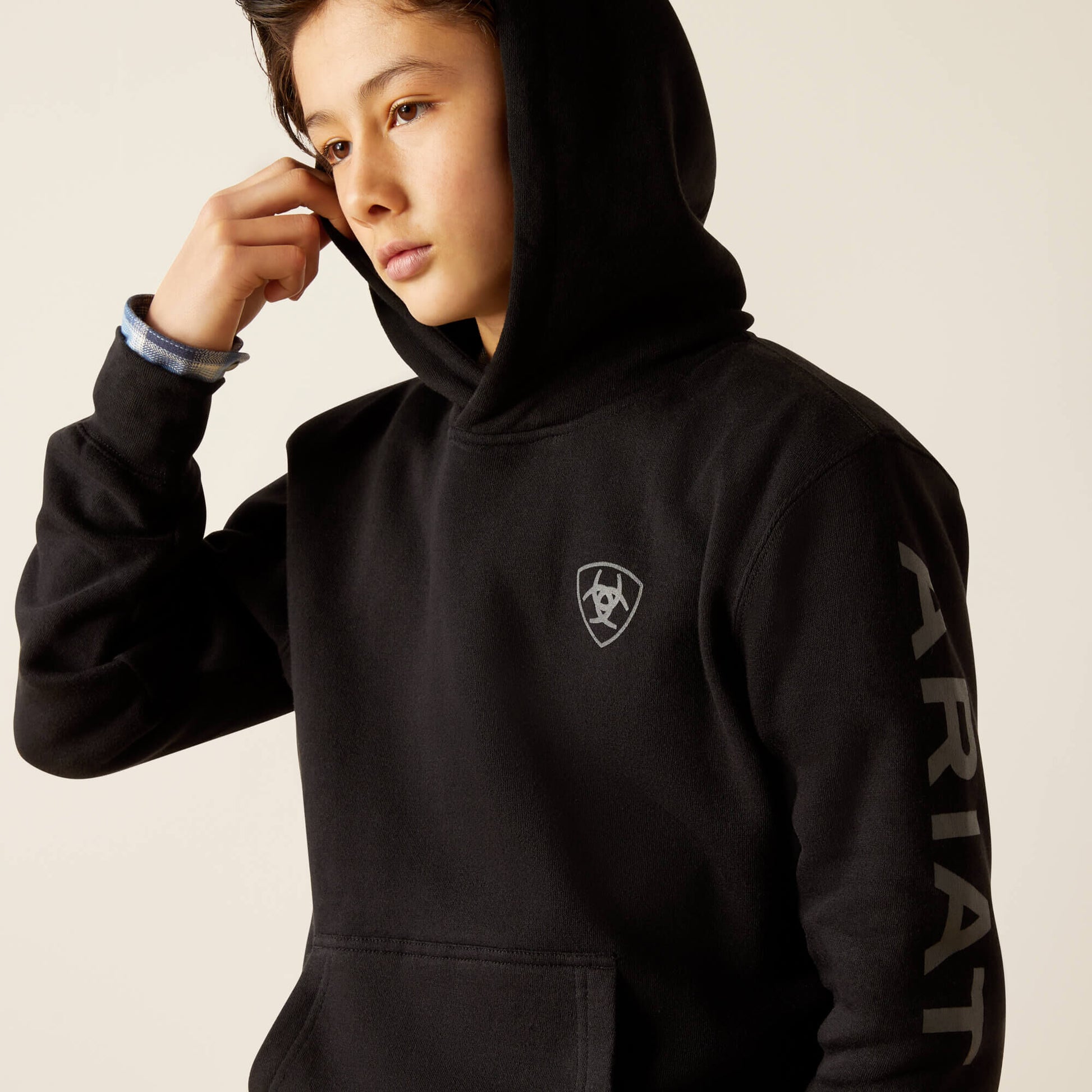 Ariat Ariat Logo Hoodie Online