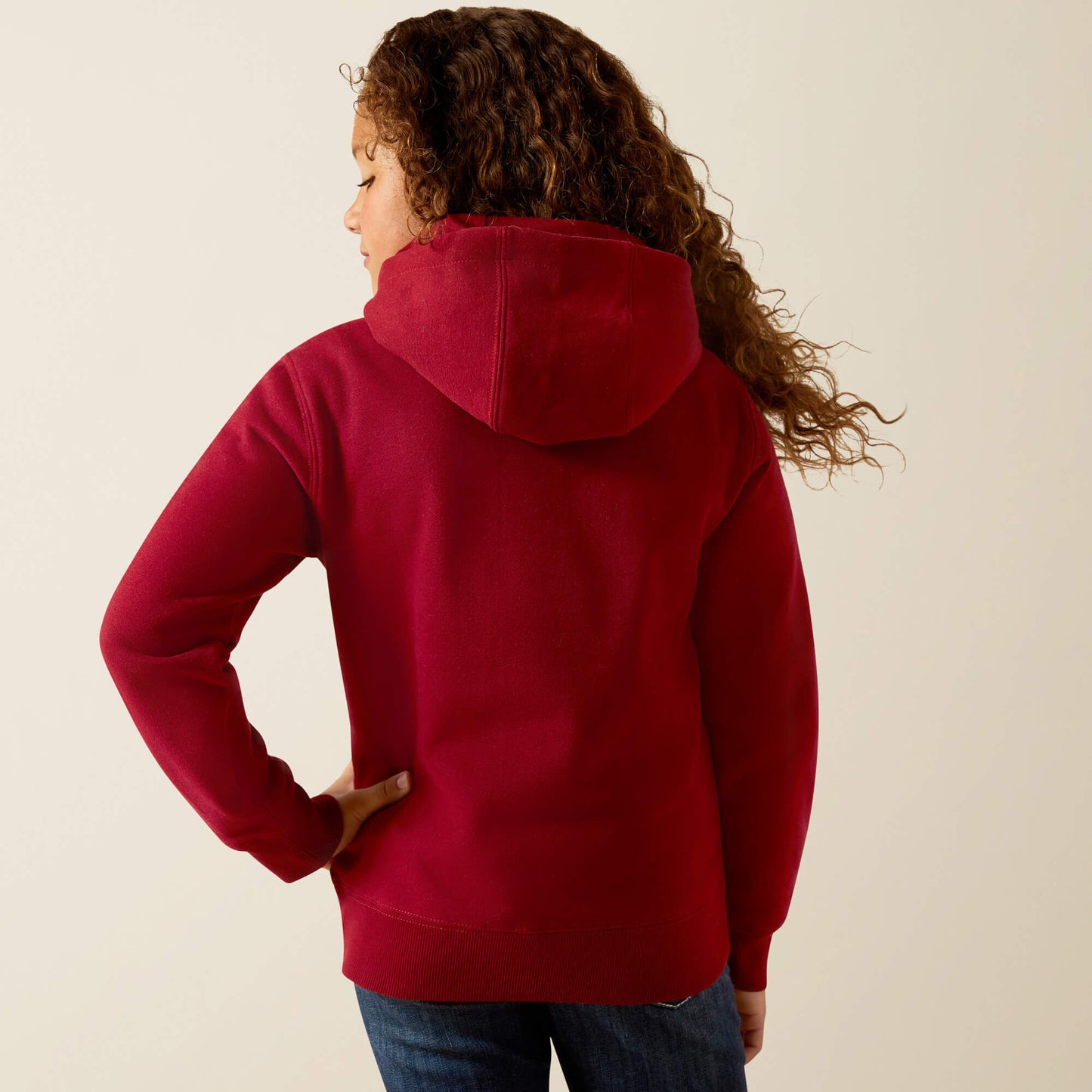 Ariat Ariat 2.0 Hoodie Discount