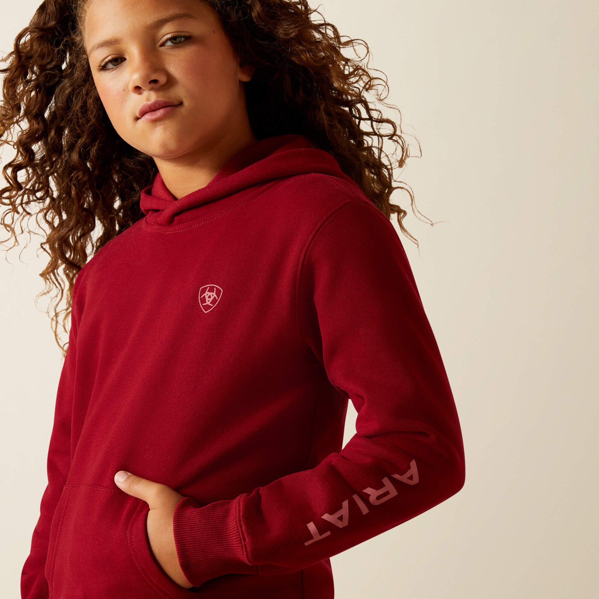 Ariat Ariat 2.0 Hoodie Discount