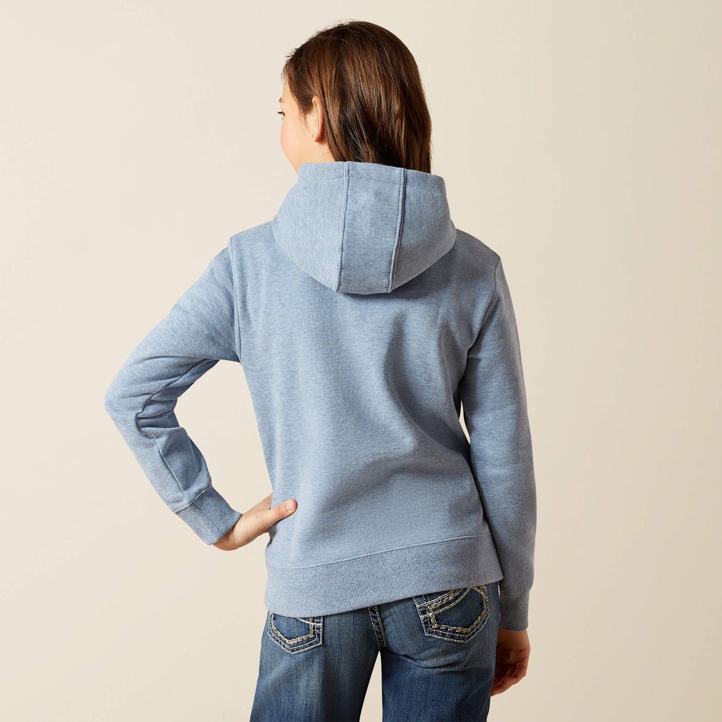 Ariat Ariat 2.0 Hoodie Outlet