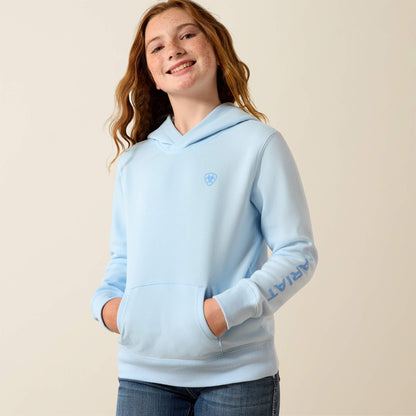Ariat Ariat 2.0 Hoodie Online