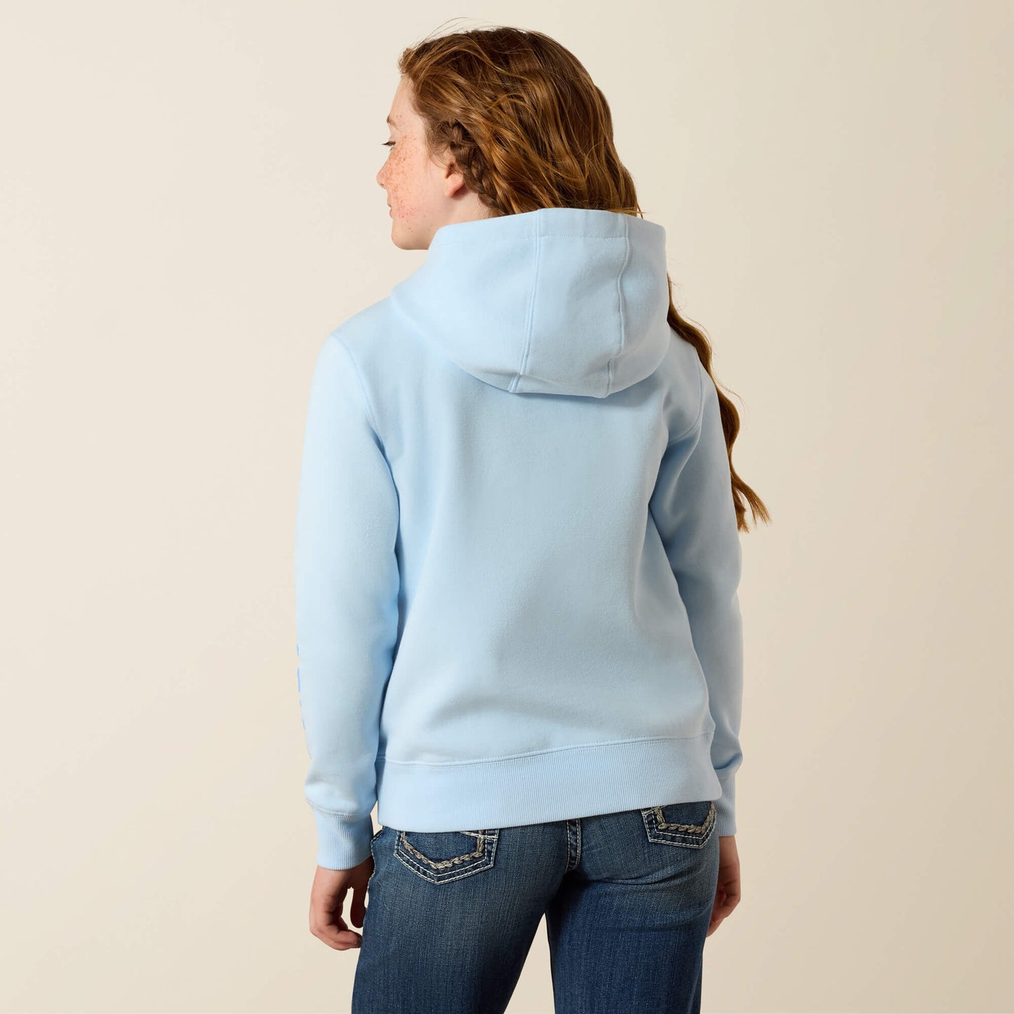 Ariat Ariat 2.0 Hoodie Online