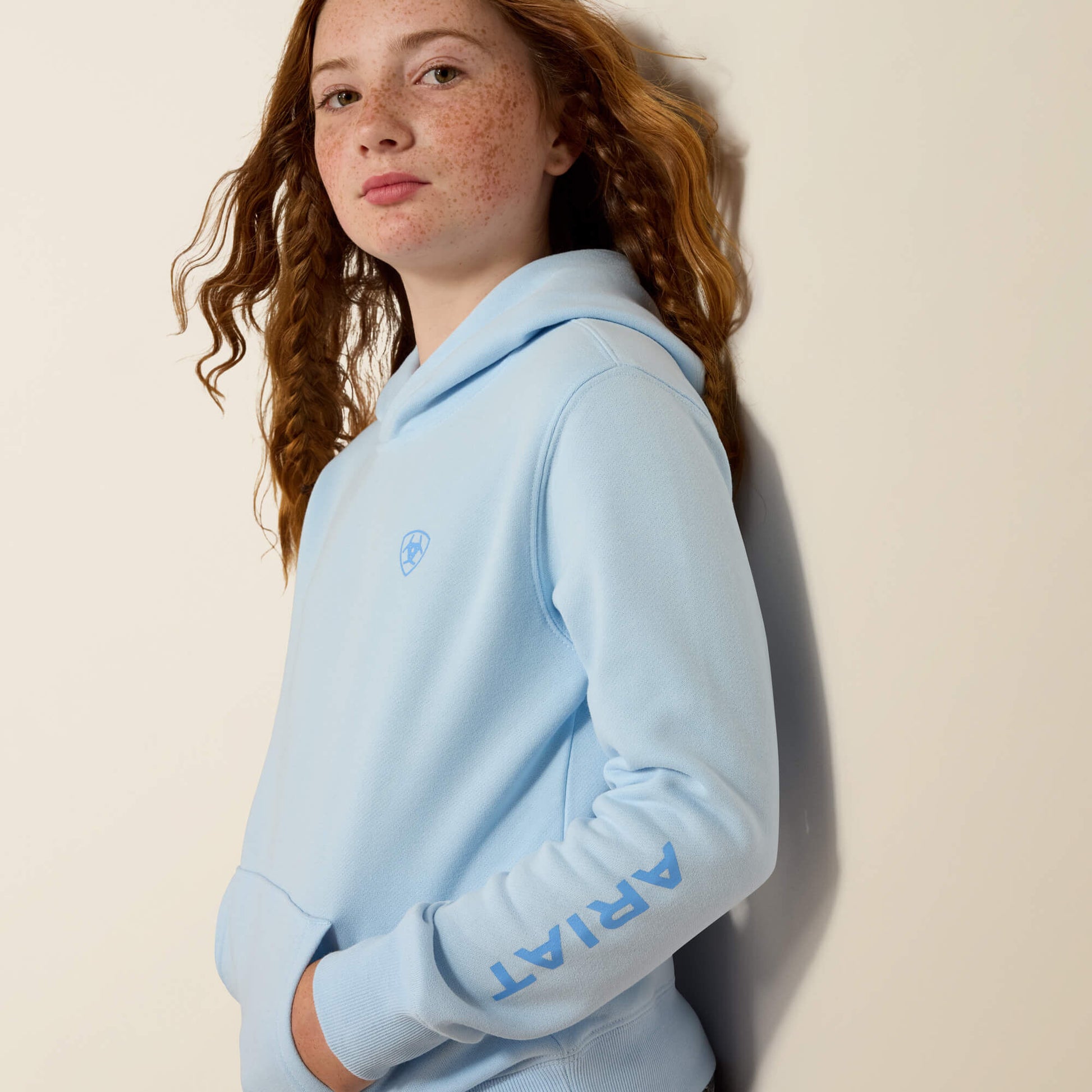 Ariat Ariat 2.0 Hoodie Online